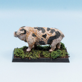Old Spot by Oakbound Studio. A lead pewter miniature of a large pig