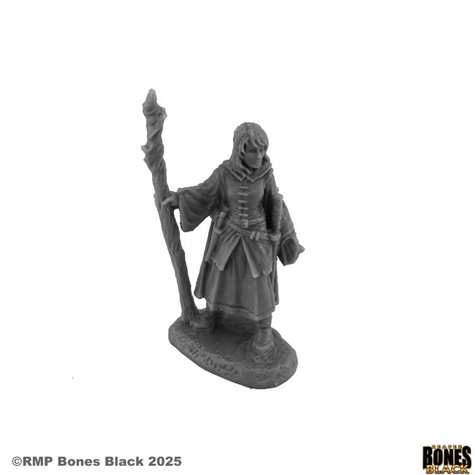 44268 Asandris Nightbloom Sorceress - Reaper Bones Black