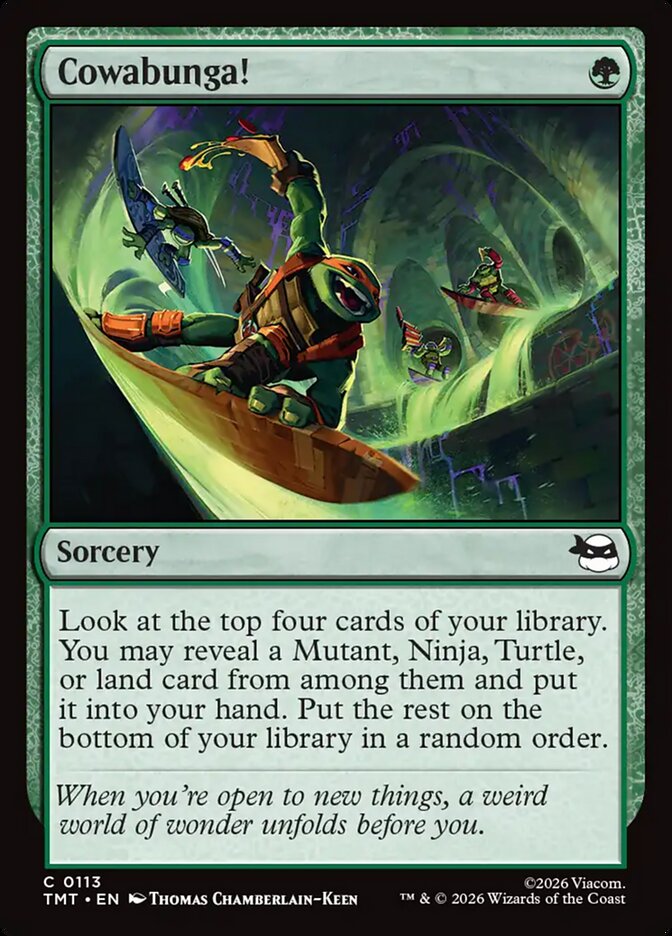 Cowabunga! Teenage Mutant Ninja Turtles #113