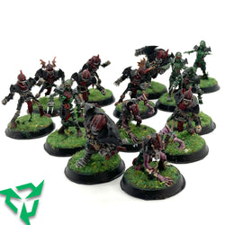Shambling Undead BloodBowl Team - Painted (Trade-In)