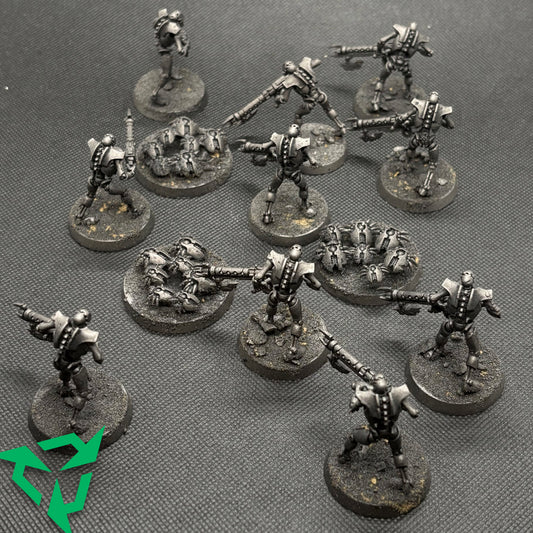 Gunmetal Primed Necron Warriors