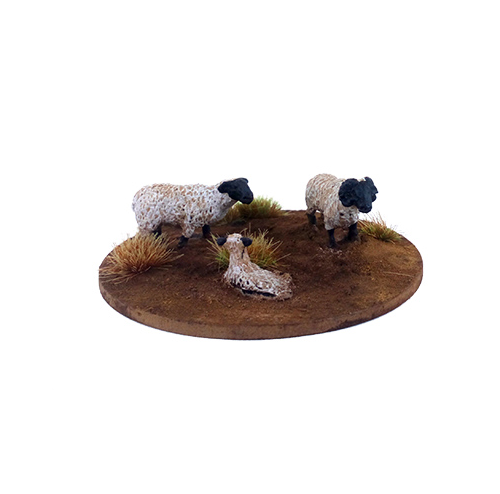 Dead Man's Hand Flock Of Sheep