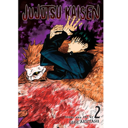 Jujutsu Kaisen Vol. 2 | Manga Graphic Novel