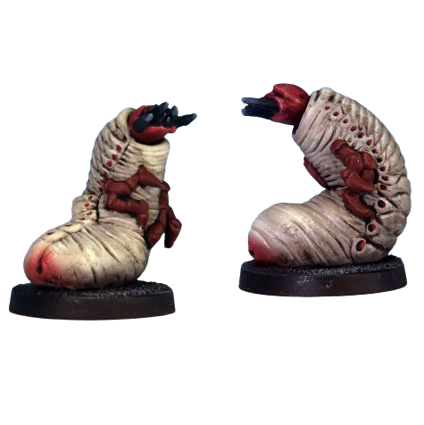 Giant Maggots resin miniatures. ...
