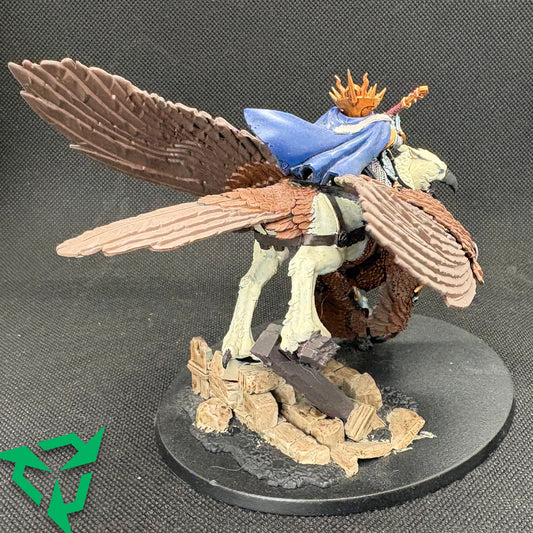 Painted Lord-Vigilant on Morrgryph