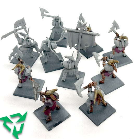Preloved Warhammer Bestigor Herd...