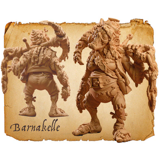 Moonstone Barnakelle