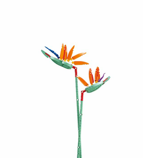 Sluban Strelitzia Reginae Bird o...