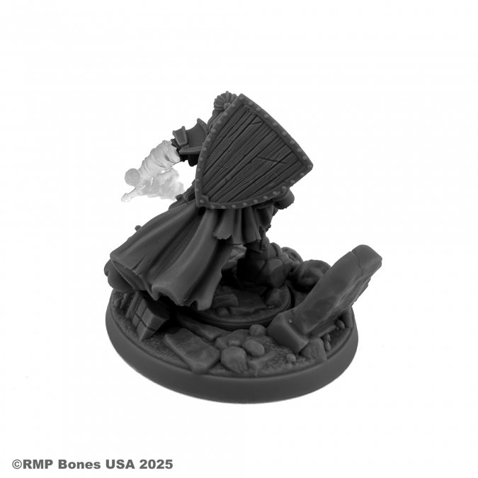 07214 Sir Toren Mael, Kingslyre Knight - Reaper Bones USA Dungeon Dwellers