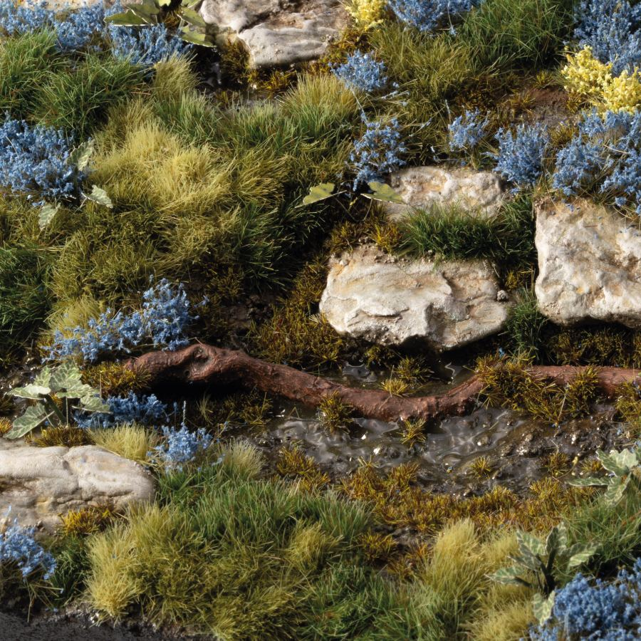 Bluebeard Flowers - Gamers Grass