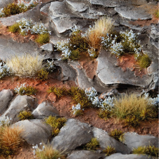 Gamers Grass Forget-Me-Not Tiny ...