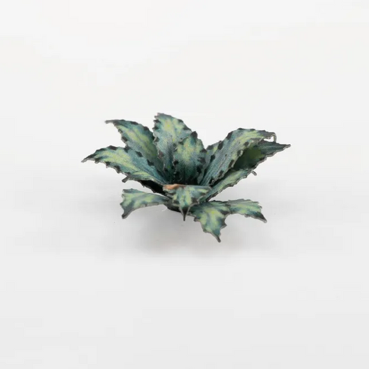 Gamers Grass Blue Agave Paper Pl...