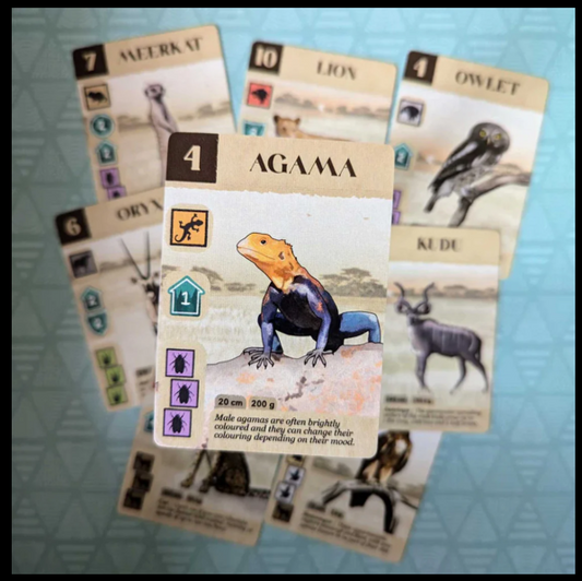 Kavango board game with landscap...