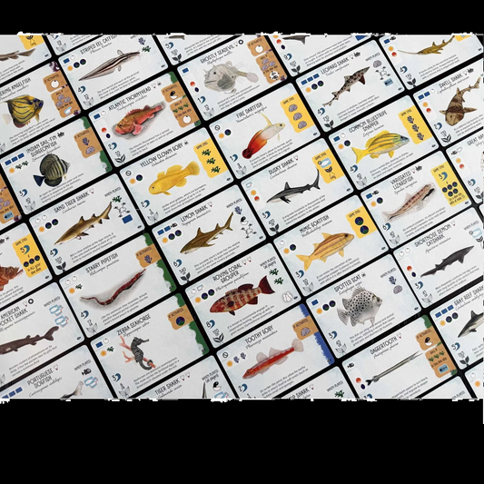 Finspan Sharks & Reef - Boar...