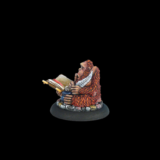 The Librarian a 28mm resin Discw...
