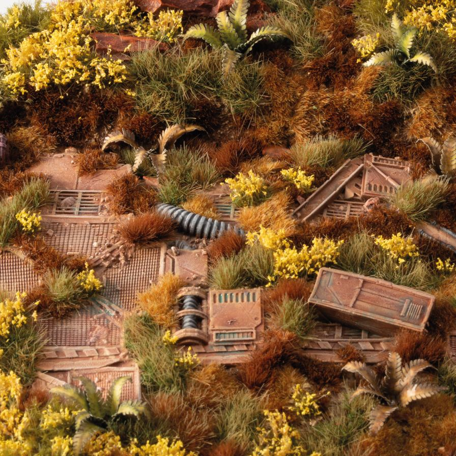 Broom Flowers - Gamers Grass