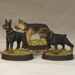 Attack Dogs by Crooked Dice. A set of three metal figures representing one Doberman, one German shepherd/Alsatian and one Rottweiler wearing collars and showing their teeth as if guarding or protecting something making a great edition to your RPG, dioramas and tabletop gaming needs.