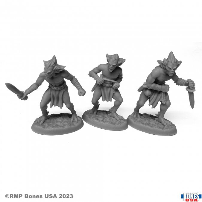 30135 3x Morbids Fantasy RPG Minis Reaper Bones USA