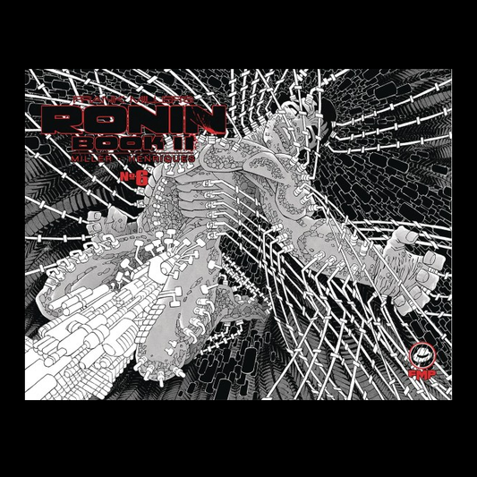 Ronin Book II #6 from Frank Mill...