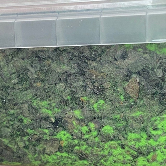 Krautcover's Eternal Fields ...