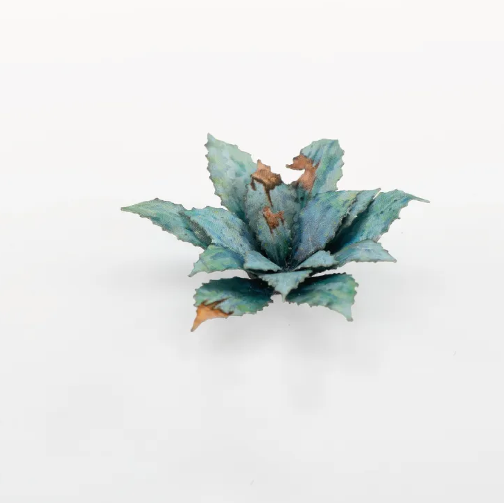 Gamers Grass Blue Agave - Paper Plants