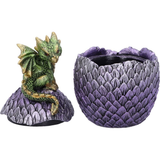 Green Dragonling Perch Box from Nemesis Now. Hand-painted this piece is as practical as it is captivating a cute green dragon perched on top of an egg