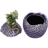 Green Dragonling Perch Box from Nemesis Now. Hand-painted this piece is as practical as it is captivating a cute green dragon perched on top of an egg