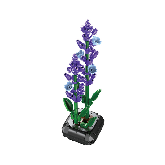 Decorative lavender plant on a d...