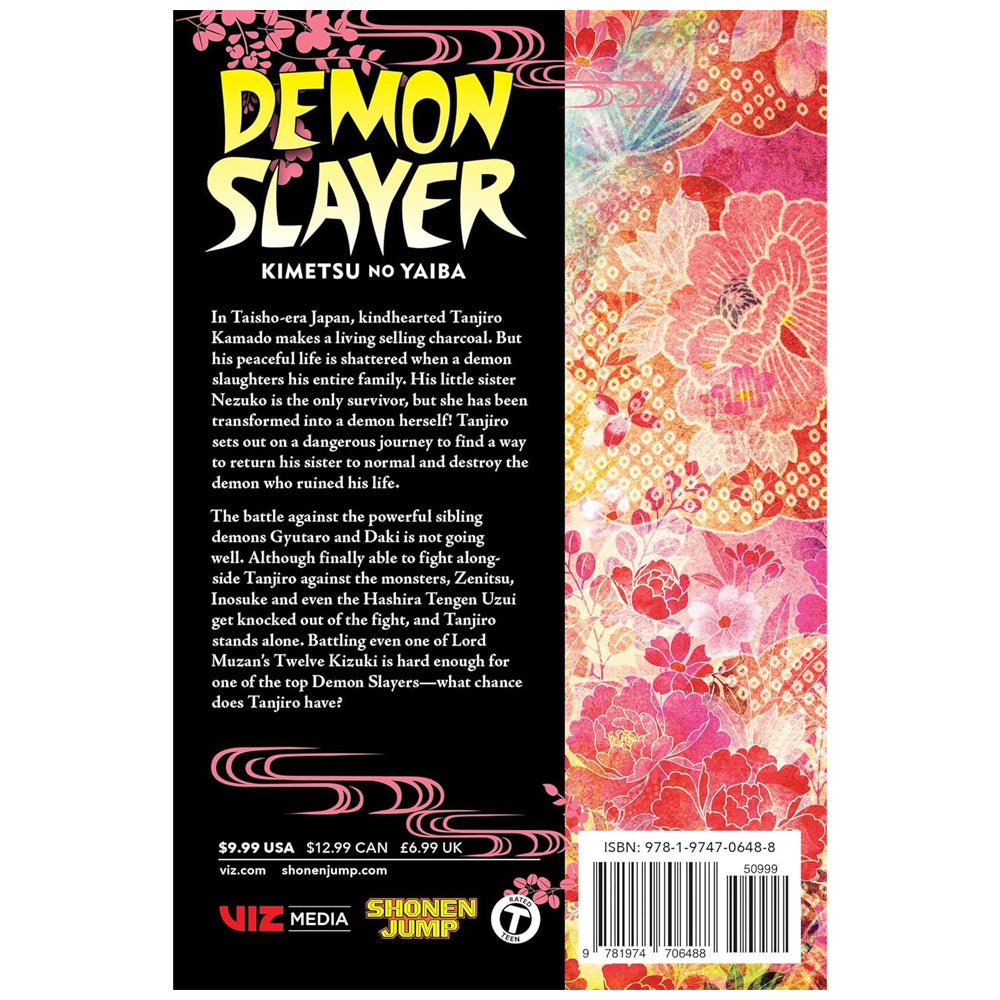 Demon Slayer Mimetsu No Yaiba #11