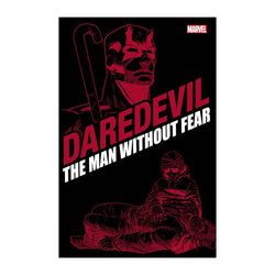 Marvel Daredevil The Man Without Fear Graphic Novel