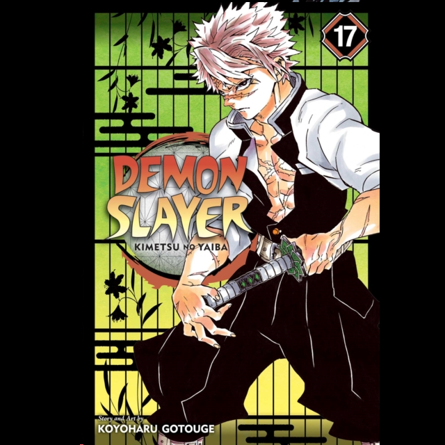 Demon Slayer Kimetsu no Yaiba Volume 17 paperback manga by Koyoharu Gotouge