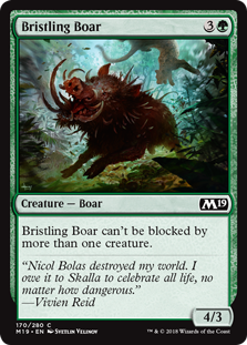 Bristling Boar MTG Single | Core Set 2019 #170
