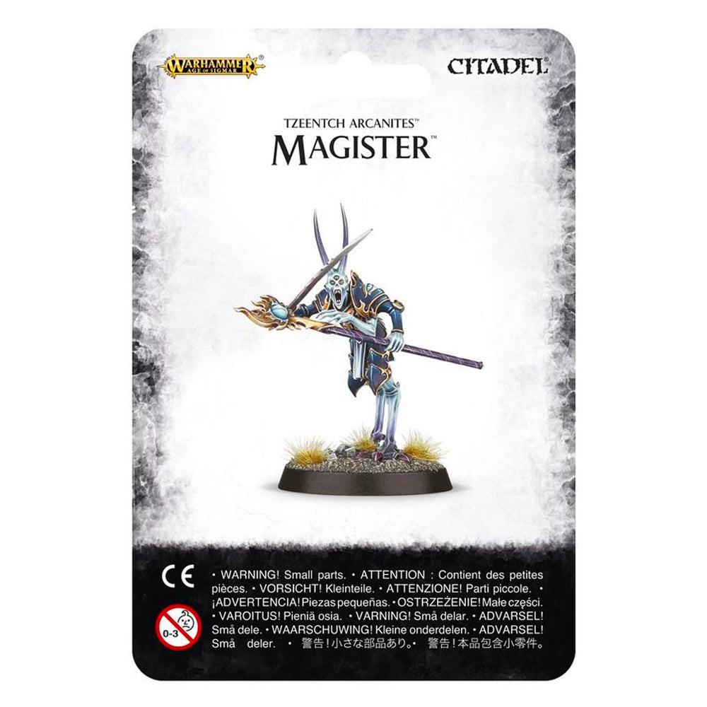 Disciples of Tzeentch Magister