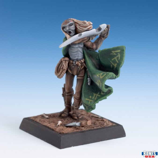 Reaper Miniatures 30243 Dark Elf Assassin. Miniature figurine of a warrior with a shield and sword on a blue gradient background