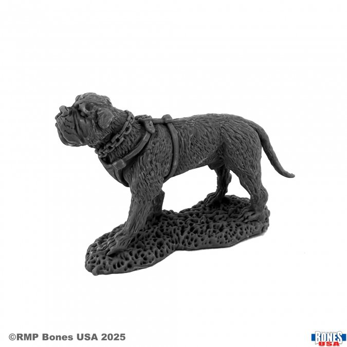 Reaper Miniatures Garr War Dog Bones USA Reaper Legends 25mm heroic scale dog miniature. Gray dog figurine on a textured base with 'RMP Bones USA' branding.