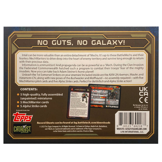 Battletech 1st Sommerset Strikers