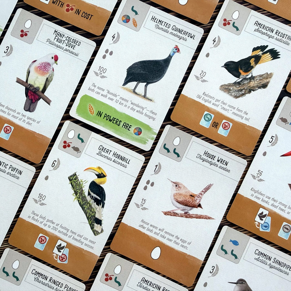 Wingspan Pocket Edition Cards