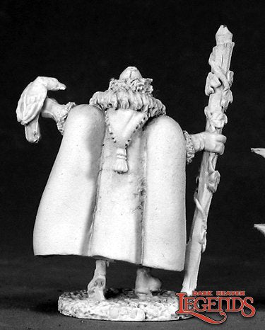 02478 Gregor The Wizard