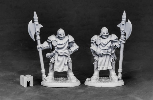 reaper miniatures 03848: City Guard