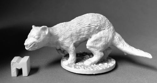 03897 - Giant Weasel by Jason Wiebe (Reaper DHL) :www.mightylancergames.co.uk