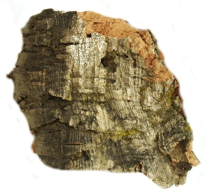 JAVIS MEDIUM CORK BARK- JMCB