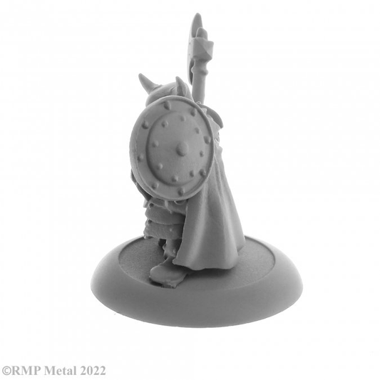 Borin Ironbrow a Dwarf Fighter f...