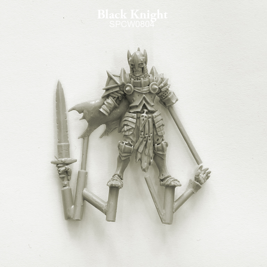 Black Knight is a resin miniatur...