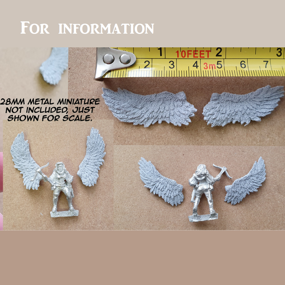 Feathery Wings for your conversion needs by Bad Squiddo Games, a pair of 28mm resin wings