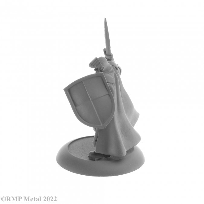 Baran Blacktree from the Dark Heaven Legends metal range by Reaper Miniatures sculpted by Bobby Jackson. A metal fighter miniature holding a sword and a panel shield wearing armour for your gaming table and RPG.