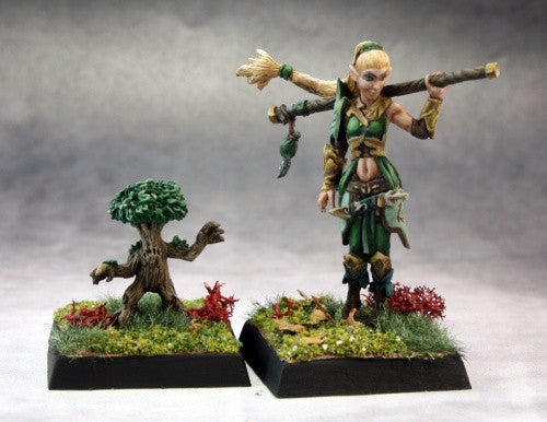 60147: Druid and Familiar