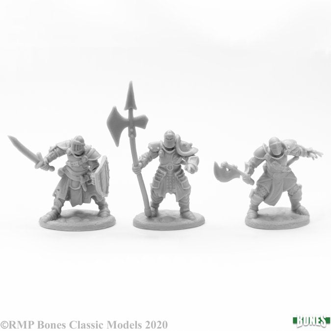Reaper Miniature 77673- KNIGHTS OF THE REALM