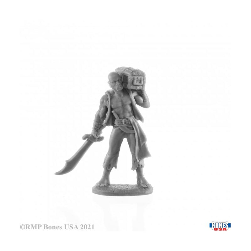 Hajad, Pirate With Treasure Chest