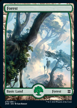 Full Art Forest MTG Zendikar Rising #278
