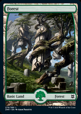 Full Art Forest MTG Zendikar Rising #279